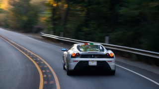 Car road trees sign motion - the background and a sign free wallpaper for desktop