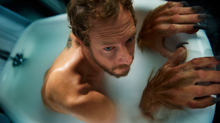 Bearded man bathtub portrait furry - his hair free wallpaper