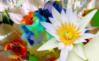 Flower colorful shapes centrally flowers - anton graff free wallpaper