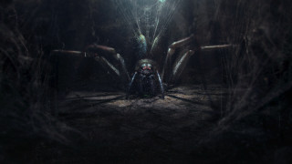 Giant spider forest man light - a giant spider free wallpaper