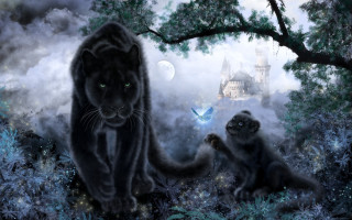 Cat monkey forest castle butterfly - a storybook illustration free wallpaper