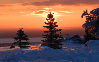 Sunset snowy landscape trees lake - arkhip kuindzhi free wallpaper
