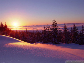 Sunset snowy mountain trees foreground - a sunset over a snowy mountain free wallpaper