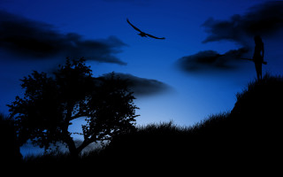 Bird flying over tree night - over the tree free wallpaper