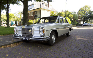 Car tree house digital rendering - the side of a road next free wallpaper