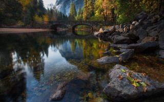 Bridge river trees rocks matte - a few leaf free wallpaper for desktop