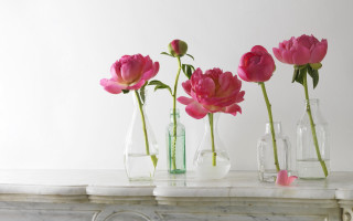 Vases flowers mantle marbled background - annabel kidston free wallpaper for desktop