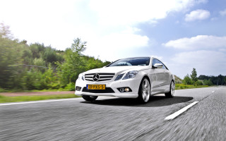 White car forest road sunny 2 - a sunny day free wallpaper for desktop