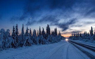 Snowy road trees moon night - a full moon in the distance free wallpaper