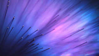 Purple blue flower detailed center - dof free wallpaper