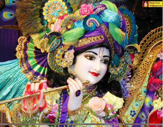 Statue woman peacock costume head - a peacock free wallpaper for desktop