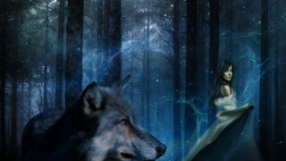 Woman white dress wolf forest - the sky and trees free wallpaper