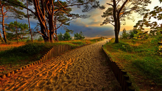 Dirt road fence trees autumn - a fence and trees free wallpaper