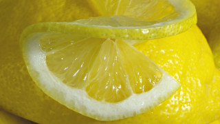 Lemon slice closeup whole background 2 - a slice free wallpaper