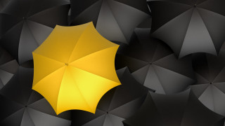Yellow umbrella black umbrella pattern - a yellow umbrella free wallpaper