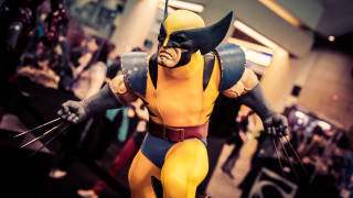 Wolverine man room multiple people - fantastic free wallpaper for desktop