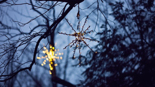 Spider web lights night autumn - a spider web free wallpaper