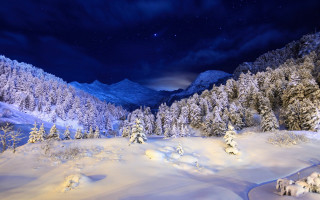 Snowy mountain trees night starry - free winter wallpaper