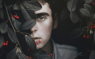 Berry lipped man hiding leaves - his nose free wallpaper