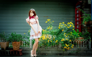 Woman dress scarf flower fence - fashion photography free wallpaper