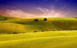 Green field trees clouds sunset 3 - landscape free wallpaper