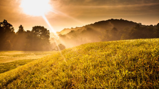 Sunshine clouds trees hill forest - a sun free wallpaper