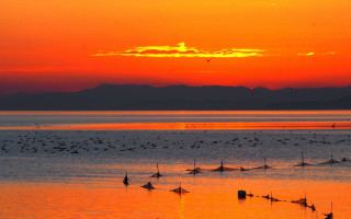 Sunset water birds mountains beach - a sunset over a body of water free wallpaper for desktop
