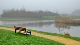 Foggy lake bench path park - a foggy day free wallpaper