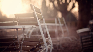Empty chairs row grass trees - empty free wallpaper