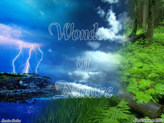 Forest clouds nature mattepainting bush - a picture of a forest free wallpaper