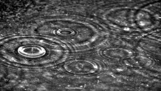 Rain droplet abstract illusionism monochrome - the surface free wallpaper