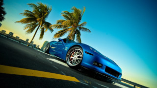 Blue sports car palm trees - vivid free wallpaper for desktop