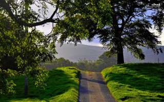 Adahillwalker landscape trees mountain park - free landscape wallpaper