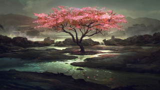 Pink cherry blossom river city - the middle of a river free wallpaper