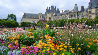 Flower garden cityscape architecture bridge - flower in front free wallpaper