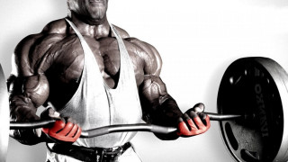 Muscular man barbell weight plate - a barbell free wallpaper