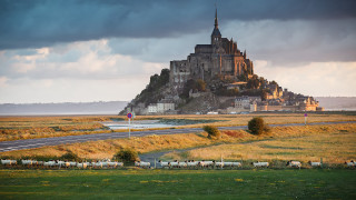 Medieval castle tower animals road - a large castle free wallpaper