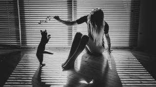 Woman cat blinds shadow art - shadow free wallpaper