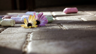 Flower sidewalk rocks candybar pastel - chalk art free wallpaper
