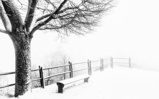 Bench tree snow hillside fog - a bench sitting next free wallpaper