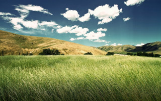 Grassy field mountains blue sky - grassy free wallpaper for desktop