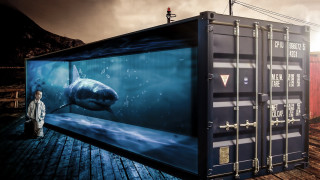 Shark container hologram damienhirst urban - hyper real free wallpaper