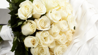 White roses green leaves white - a white ribbon free wallpaper