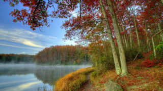 Autumn lake reflection trees rock - a rock in the foreground free wallpaper