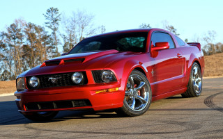Red mustang wooded road autumn - a red mustang mustang free wallpaper for desktop