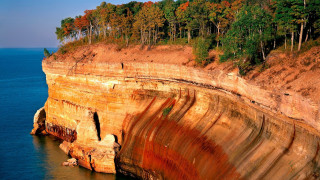 Cliff face trees ocean cave - betye saar free wallpaper for desktop
