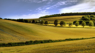 Mountain hill field trees river - a hill in the background free wallpaper
