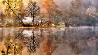 Lake foggy forest autumn reflections - a foggy sky free wallpaper