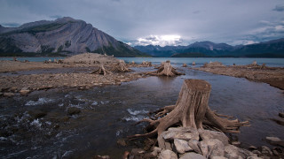 Tree stump river mountains cloudy - a river next free wallpaper for desktop