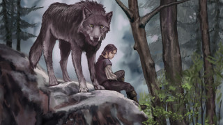 Man wolf forest battle illustration - a wolf free wallpaper